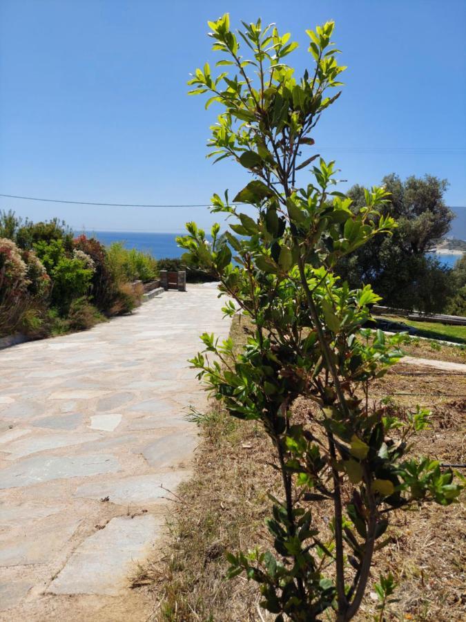 Skinammos Eco Villas Marmari  Exterior foto